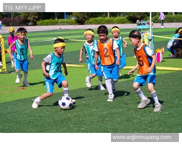 足球巨星的传奇人生与梦想追逐在绿茵场上的奋斗与荣耀