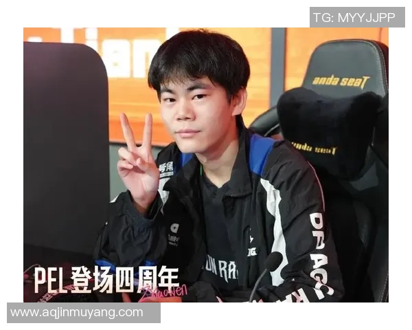 陈芳专访：从初出茅庐到和平精英巅峰的成长之路